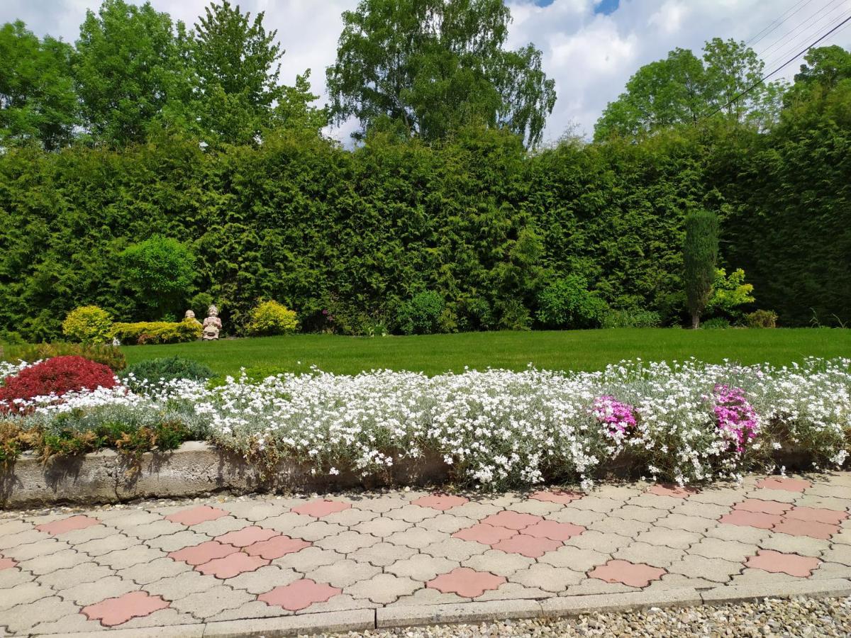 Apartmany Okoun Velké Losiny Екстериор снимка